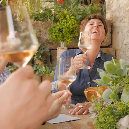 / Weingut Meintzinger Ξενοδοχείο 3*